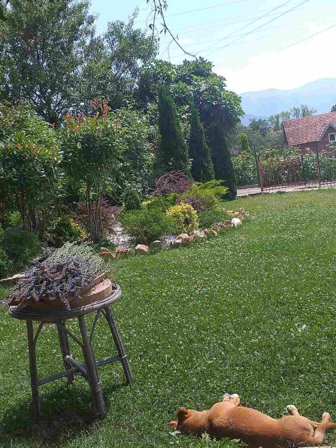 Villa Silva Ohrid Exterior photo
